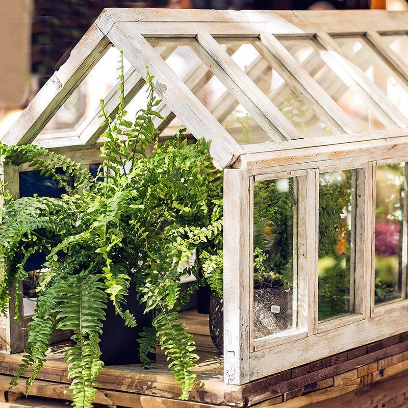 The Glasshouse