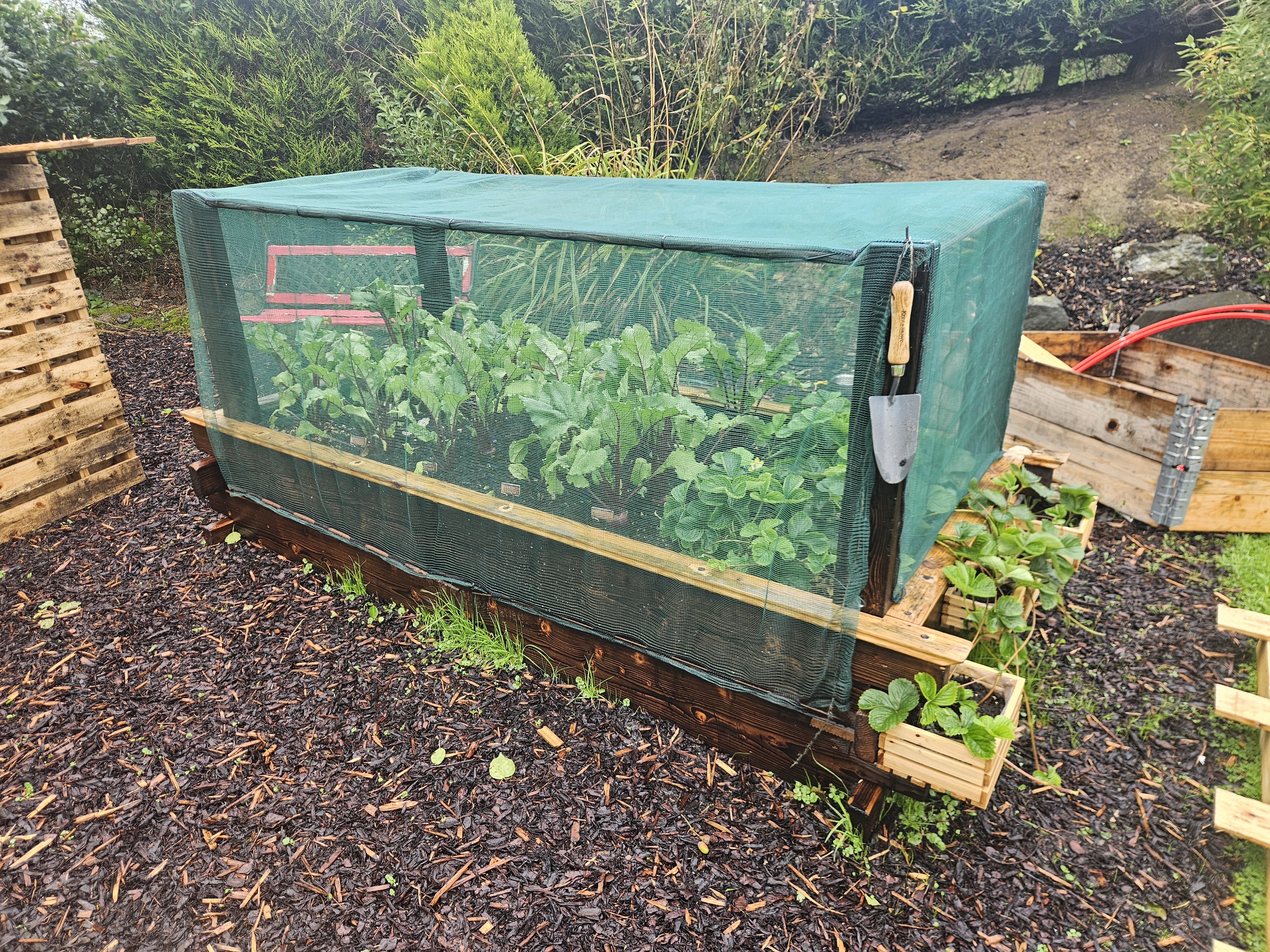 Large raised garden bed made from reclaimed wood with shou sugi ban finish